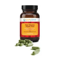 Cervene-morske-riasy-800x800_1