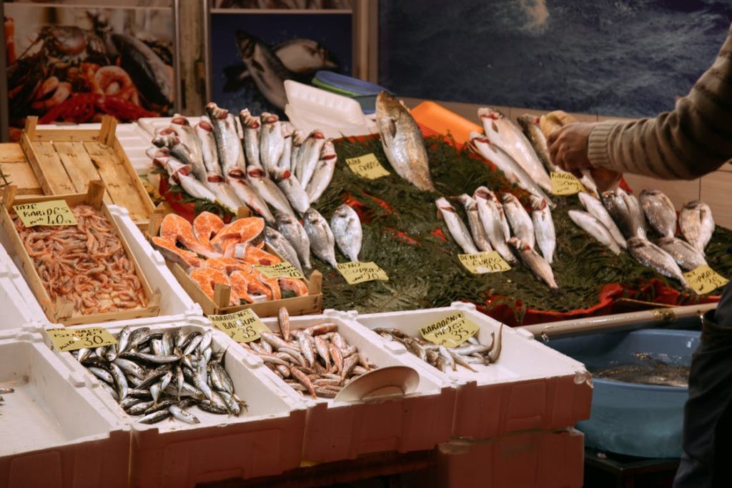 Zdroje omega-3_morské ryby