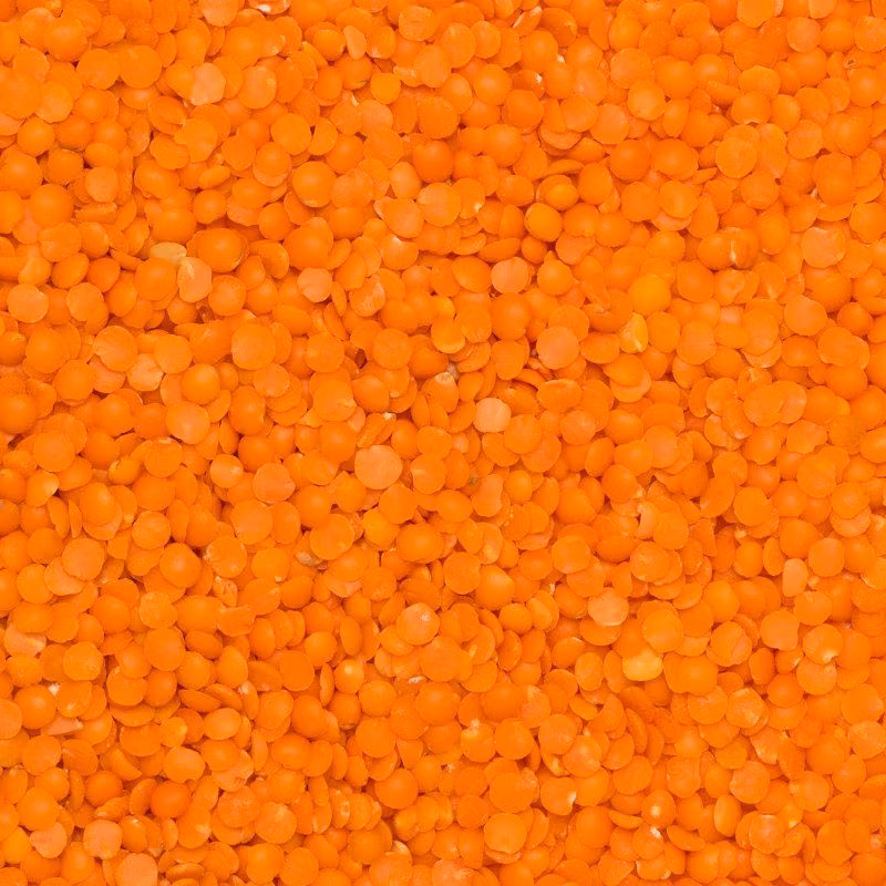 BIO červená šošovica 5 kg