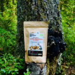 Bio čaga - kúsky 100 g-1