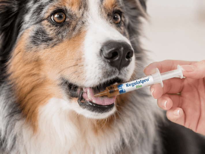 Regulatpro® Bio pre zvieratá - 6